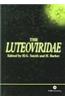 The Luteoviridae