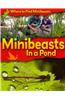 Minibeasts in a Pond