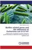 Biofilm Related Genes and the Adherence of Escherichia Coli O157: H7