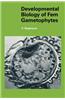 Developmental Biology of Fern Gametophytes