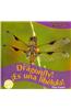 It's a Dragonfly!/Es Una Libelula!