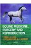 Equine Medicine, Surgery and Reproduction