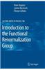 Introduction to the Functional Renormalization Group