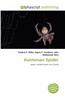Huntsman Spider