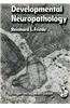 Developmental Neuropathology