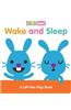 Wake and Sleep: A Lift-The-Flap Book