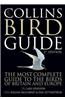 Collins Bird Guide