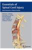 Essentials of Spinal Cord Injury: Basic Research to Clinical Practice