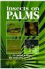 Insects on Palms