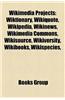 Wikimedia Projects: Wikinews, Wikipedia, Wiktionary, Wikiquote, Reliability of Wikipedia, Wikipedia in Culture