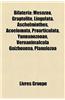 Bilateria: Mesozoa, Graptolite, Lingulata, Aschelminthes, Acoelomata, Proarticulata, Yunnanozooan, Vernanimalcula Guizhouena, Pla