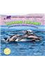 Dolphins/Delfines: Life in the Pod/Vida En La Manada
