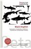 Black Dogfish