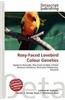 Rosy-Faced Lovebird Colour Genetics