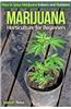 Marijuana Horticulture for Beginners: How to Grow Marijuana Indoors and Outdoors