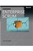 The Enterprise And Scrum