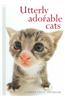Utterly Adorable Cats