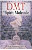 Dmt: The Spirit Molecule: A Doctor's Revolutionary Research Into the Biology of Near-Death and Mystical Experiences