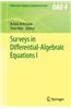 Surveys in Differential-Algebraic Equations I