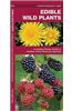 Edible Wild Plants: A Folding Pocket Guide to Familiar North American Species