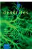 Dendrites