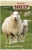 Sheep: Small-Scale Sheep Keeping