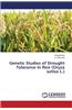 Genetic Studies of Drought Tolerance in Rice (Oryza Sativa L.)