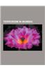 Terrorism in Mumbai: 1993 Bombay Bombings, 2008 Mumbai Attacks, Reactions to the 2008 Mumbai Attacks, Aftermath of the 2008 Mumbai Attacks,
