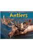 Antlers