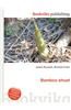 Bamboo Shoot