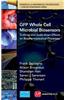 Gfp Whole Cell Microbial Biosensors: Scale-Up and Scale-Down Effects on Biopharmaceutical Processes