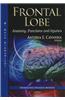 Frontal Lobe