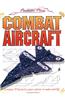 Combat Aircraft