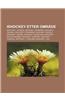 Ishockey Etter Omrade: Ishockey I Canada, Ishockey I Danmark, Ishockey I Finland, Ishockey I Frankrike, Ishockey I Mexico, Ishockey I Norge