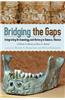 BRIDGING THE GAPS