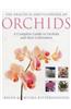 Practical Encyclopedia of Orchids