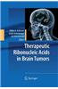 Therapeutic Ribonucleic Acids in Brain Tumors