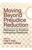 Moving Beyond Prejudice Reduction: Pathways to Positive Intergroup Relations