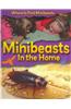 Minibeasts in the Home