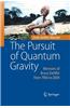 Pursuit of Quantum Gravity