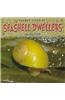 Secret Lives of Seashell Dwellers
