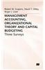 Management Accounting, Organizational Theory and Capital Budgeting: 3surveys