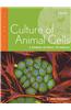 Culture of Animal Cells: A Manual of Basic Technique