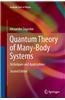 Quantum Theory of Many-Body Systems: Techniques and Applications