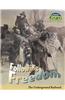 Following Freedom