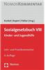 Sozialgesetzbuch VIII: Kinder- Und Jugendhilfe