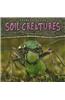 Secret Lives of Soil Creatures
