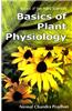 Basics of Plant Physiology