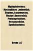 Myctophiformes: Myctophidae, Lanternfish, Diaphus, Lampanyctus, Hector's Lanternfish, Protomyctophum, Neoscopelidae, Symbolophorus