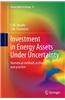 Investment in Energy Assets Under Uncertainty: Numerical Methods in Theory and Practice